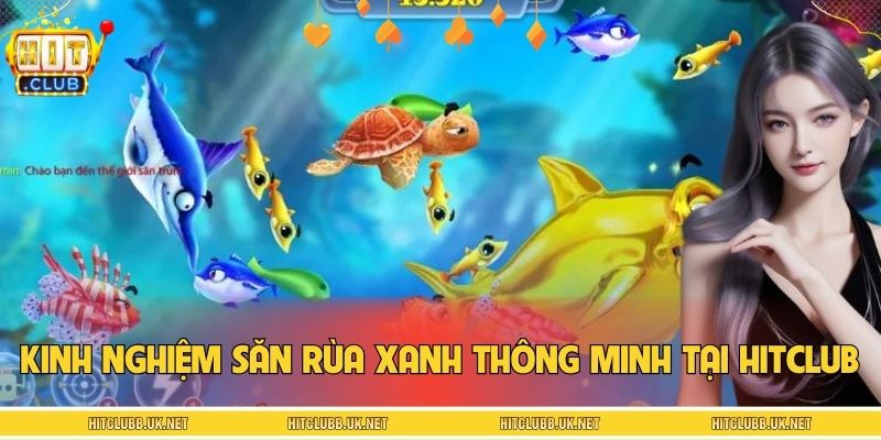Kinh nghiệm săn Rùa Xanh thông minh tại HITCLUB